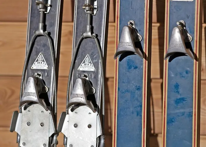 Holiday home Zur Schmiede - Alploft 1